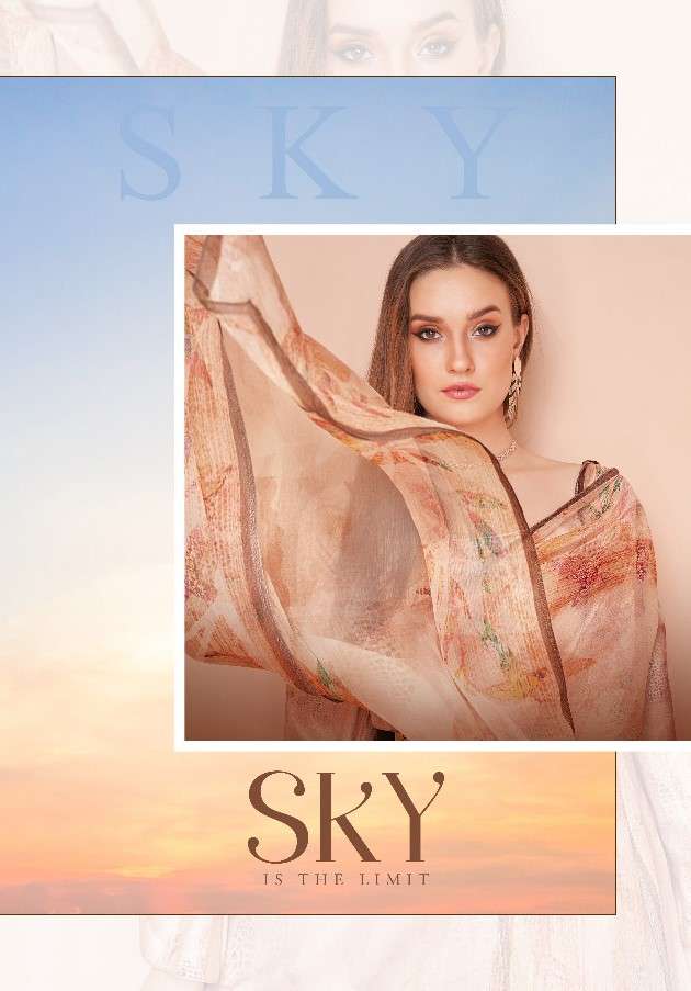 Yesfab Sky Designer Cotton printed ladies Salwar kameez Catalog Supplier