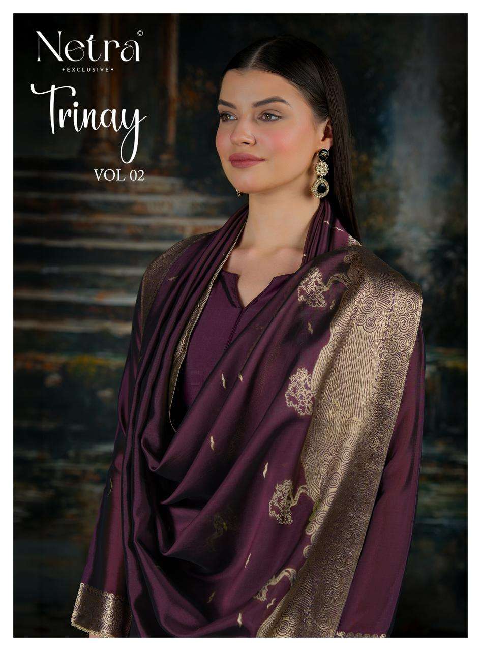 Netra Trinay Vol 2 Partywear Style Ladies Suit Catalog Wholesale Suppliers
